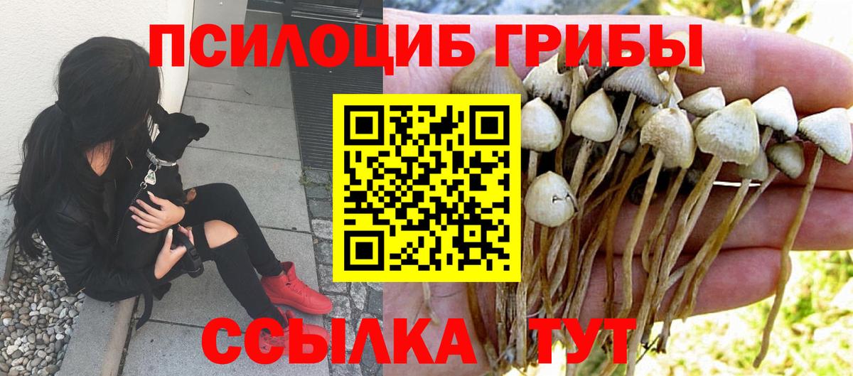 Псилоцибиновые грибы MAGIC MUSHROOMS Новочебоксарск